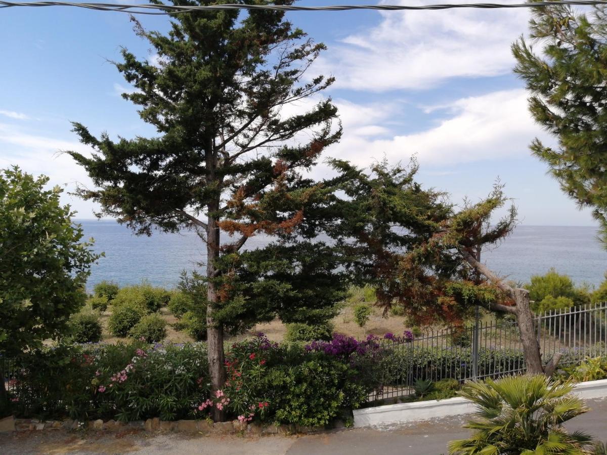 Villaggio Turistico La Vesca San Remo Buitenkant foto
